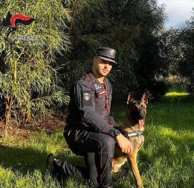 “Fenrir, il cane antiveleno dei Carabinieri individua un’esca letale nel Pollino”