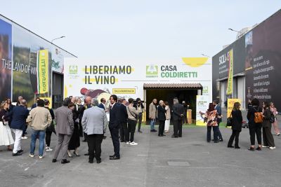 Vinitaly 2026, Coldiretti Calabria: “Liberare il vino per dare un futuro alla viticoltura regionale”