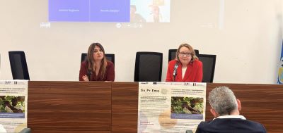Fondo “Dopo di noi”, Straface avverte gli Ambiti: «Subito i servizi o scatteranno i commissari»