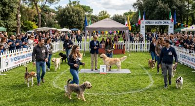 Torna la Mostra Canina Amatoriale a Schiavonea: al Palmeto una decima edizione dedicata anche ai cani senza pedigree